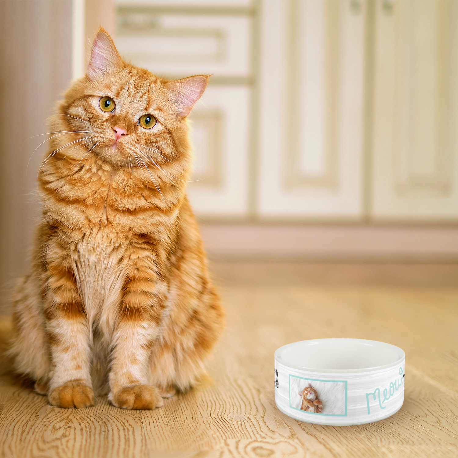 Gamelle Personnalisable Pour Chien Ou Chat En Acier Inox - Fond Antidérapant En Silicone - Plusieurs Tailles Et Couleurs